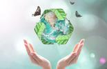 ISO 14001 2026